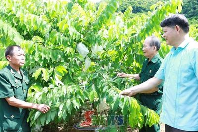 Vai trò dẫn dắt xây dựng hợp tác xã kiểu mới