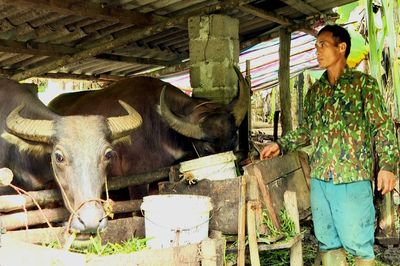 Tạo sinh kế bền vững ở Vĩnh Thông