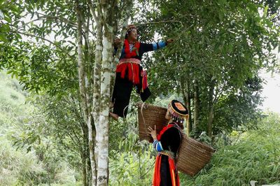 Xã Yên Bình phát huy thế mạnh cây trồng chủ lực