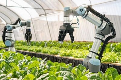 Đưa khoa học công nghệ vào từng bài toán tăng trưởng nông nghiệp