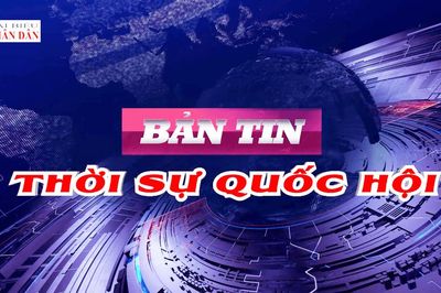 Bản tin Thời sự Quốc hội ngày 27/10/2026