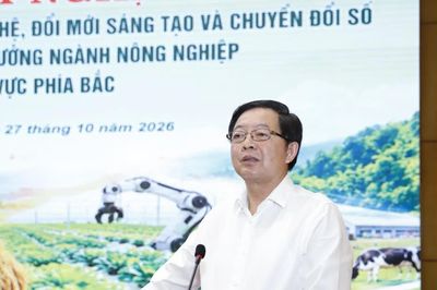Gỗ keo 2 triệu đồng, chế biến sâu có thể đạt 2.500 USD