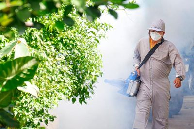 Hà Nội còn 29 ổ dịch sốt xuất huyết đang hoạt động