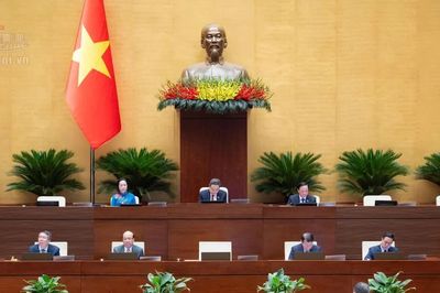 Khoan hồng đối với người tự nguyện nhận tội, tích cực khắc phục hậu quả