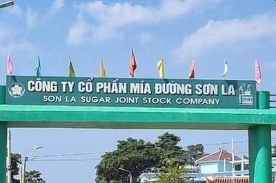Mía đường Sơn La (SLS): Lợi nhuận bốc hơi 72%, doanh nghiệp sạch nợ vay chuẩn bị chia cổ tức 100%