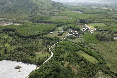 Phú Thọ chuyển đổi hơn 56 ha rừng làm khu nhà ở và đường giao thông