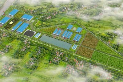 Dự án 4F Quế Lâm Lam Hồng: Động lực phát triển nông nghiệp hữu cơ, tuần hoàn tại Hà Tĩnh
