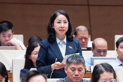ĐBQH hiến kế chặn lừa đảo qua mạng từ khâu chuẩn bị