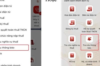 Hướng dẫn tra cứu thông tin tạm hoãn xuất cảnh trên eTax Mobile