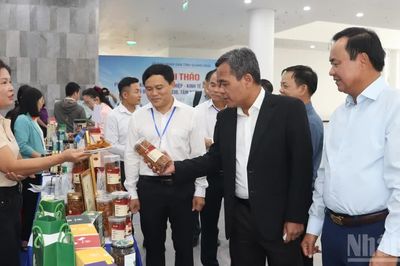 Tháo gỡ điểm nghẽn, thúc đẩy kinh tế nông nghiệp, kinh tế biển Quảng Ngãi phát triển
