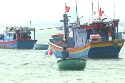 [Video] 13 tỉnh ven biển ứng phó gió giật cấp 9, sóng cao 4m