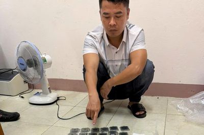 Đạo chích 'do thám' trên mạng