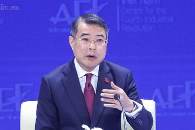 Việt Nam có nội lực đủ rộng để tiếp nhận và đóng góp cho các mạng lưới tăng trưởng mới