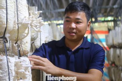 Chàng trai bỏ phố về quê khởi nghiệp với nấm, mỗi năm lãi 300 triệu đồng
