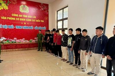 Hai sinh viên cùng 11 đối tượng bị khởi tố