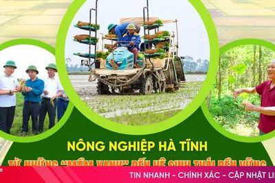 Nông nghiệp Hà Tĩnh (bài 1): Đồng sâu, đại ngàn 'kể' câu chuyện chuyển đổi xanh