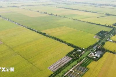 Tây Ninh dành hơn 36 tỷ đồng bảo vệ tài sản trí tuệ trong giai đoạn 2026-2030