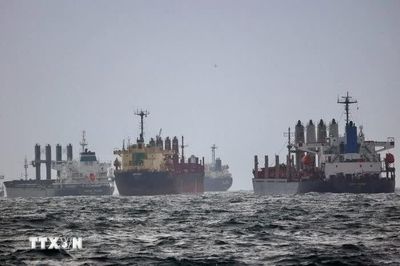 NATO tăng cường giám sát Biển Đen sau loạt vụ tấn công tàu hàng