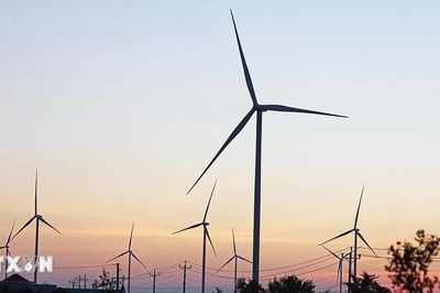 Cà Mau dự kiến vận hành khoảng 1.000 MW điện gió ngoài khơi vào năm 2030