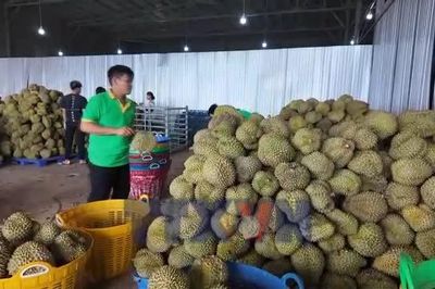 Xuất khẩu tăng tốc về đích