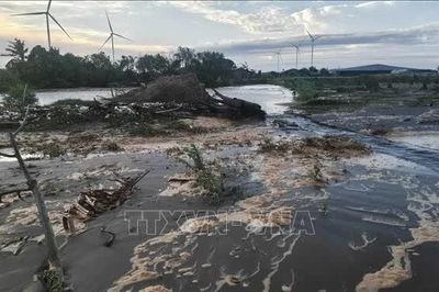 Vĩnh Long khẩn trương khắc phục sạt lở bờ biển xã Thạnh Hải