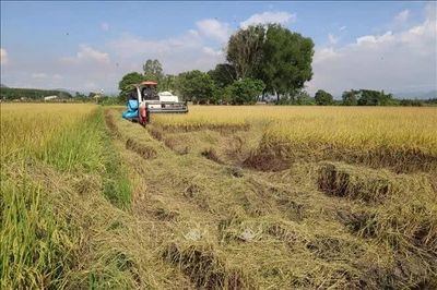 Đắk Lắk kích hoạt kịch bản ứng phó khẩn cấp với nguy cơ hạn hán diện rộng