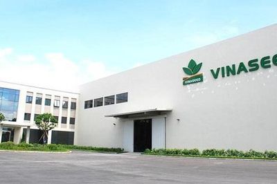 Lợi nhuận quý III giảm gần một nửa, thu nhập lãnh đạo Vinaseed thụt lùi