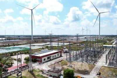 Cà Mau phê duyệt chủ trương đầu tư dự án điện gió gần 4.000 tỷ đồng