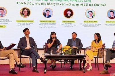 Đồng bằng sông Cửu Long phát triển chuỗi lúa gạo phát thải thấp