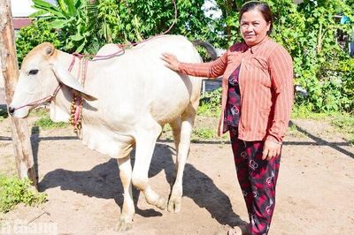 An Cư hỗ trợ phụ nữ Khmer phát triển sinh kế, tăng thu nhập