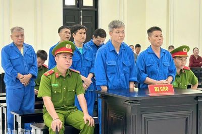 Giả danh vay tiền đáo hạn ngân hàng, chiếm đoạt 6,9 tỷ đồng
