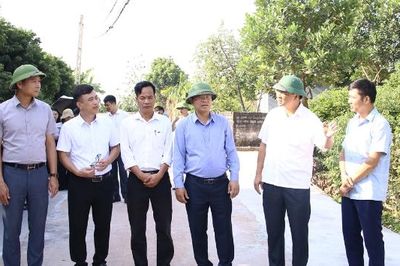 Phó Chủ tịch UBND thành phố Phan Thế Tuấn kiểm tra việc triển khai hỗ trợ làm đường giao thông tại 5 xã, phường