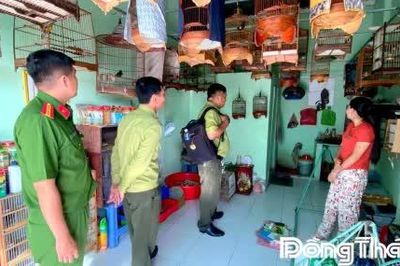 Kiểm tra và tuyên truyền bảo vệ động vật hoang dã tại xã Vĩnh Hựu