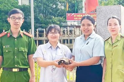 Người dân xã Ia Hrú tự nguyện giao nộp cá thể rùa núi vàng quý hiếm