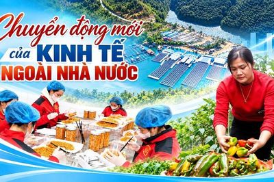 Chuyển động mới của kinh tế ngoài Nhà nước