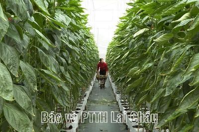 Người nông dân làm quen với dữ liệu