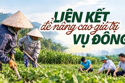 Liên kết để nâng giá trị vụ đông