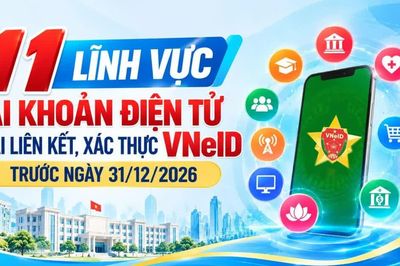 11 lĩnh vực tài khoản điện tử phải liên kết, xác thực VNeID trước ngày 31/12/2026