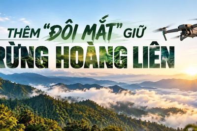 Thêm “đôi mắt” giữ rừng Hoàng Liên