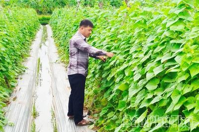 Bảo đảm nguồn cung thực phẩm dịp cuối năm
