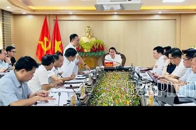 Ban Kinh tế - Ngân sách thẩm tra các tờ trình, dự thảo nghị quyết trình kỳ họp chuyên đề HĐND tỉnh
