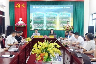Hội thảo tư vấn phát triển chuỗi giá trị hiệu quả từ vùng trồng đến xuất khẩu