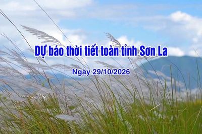 Dự báo thời tiết toàn tỉnh Sơn La ngày 29/10/2026