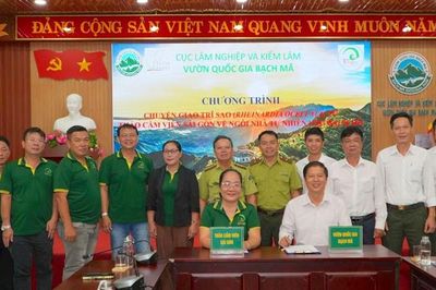 Vườn quốc gia Bạch Mã tiếp nhận 21 con chim trĩ sao quý hiếm