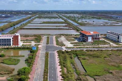 Cà Mau đề xuất tiếp tục thẩm định 7 hồ sơ đầu tư tại Khu công nghệ cao tôm Bạc Liêu