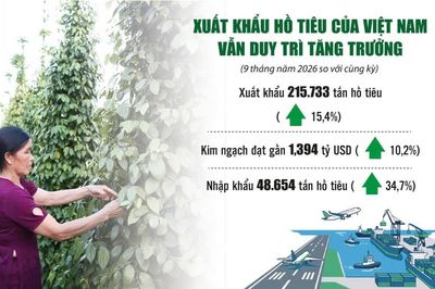 Nâng chất lượng hồ tiêu xuất khẩu trước sức ép cạnh tranh