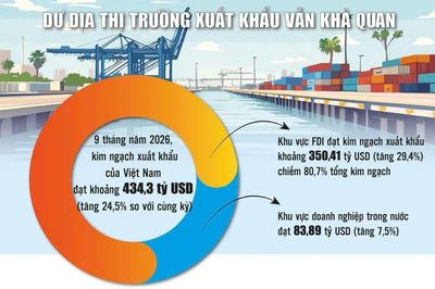 Có cơ hội thị trường, doanh nghiệp Việt vì sao vẫn khó kiếm đơn hàng?