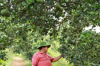 TP. Đồng Nai: Rà soát quy hoạch các vùng sản xuất nông nghiệp