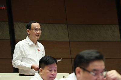Hiệu quả bảo vệ người tiêu dùng phải được đo bằng thiệt hại được giải quyết thực chất