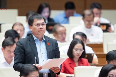 Thử nghiệm có kiểm soát trong lĩnh vực chứng khoán phải bảo đảm tự nguyện, an toàn